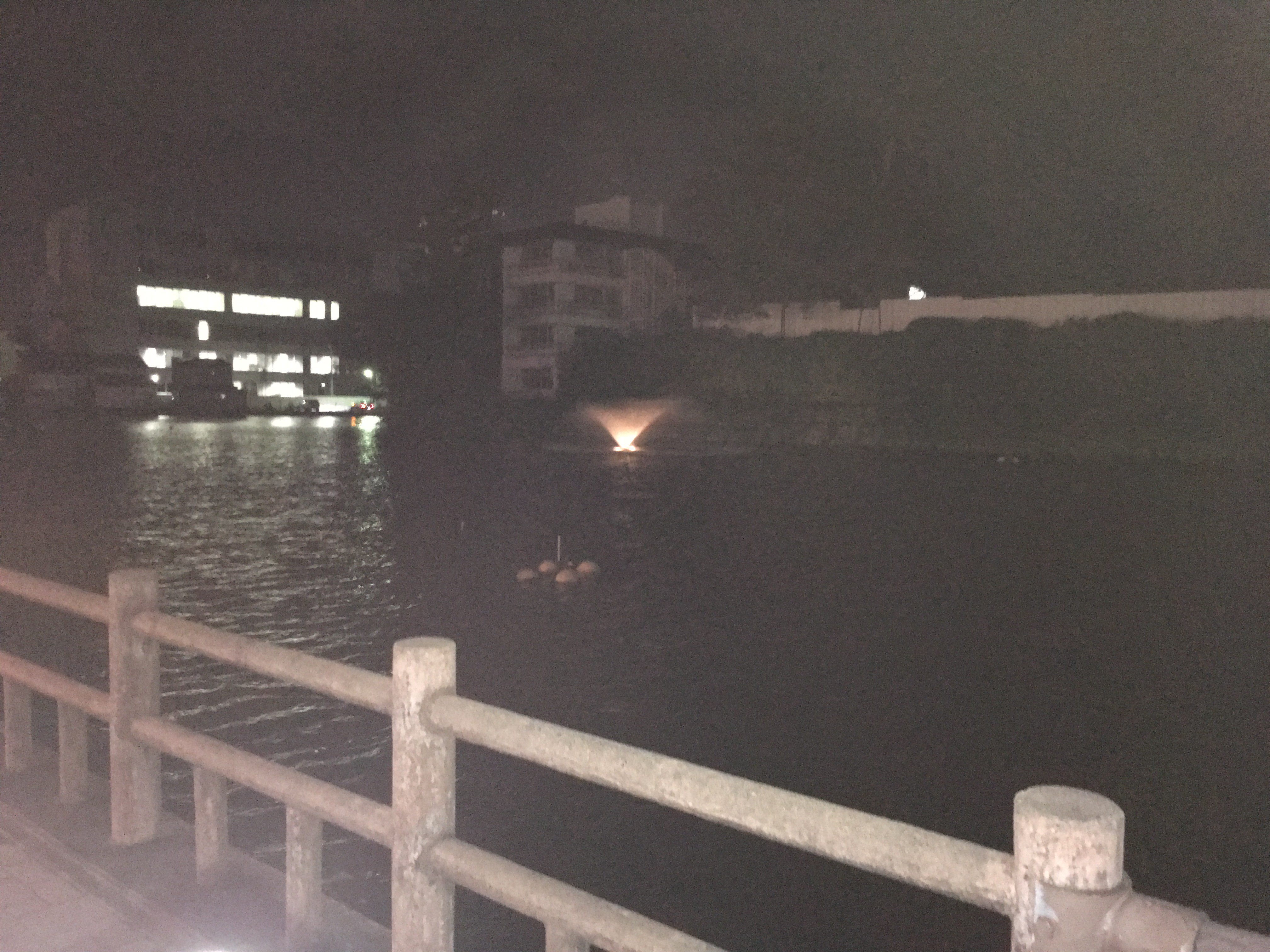 千秋公園入口周辺　噴水